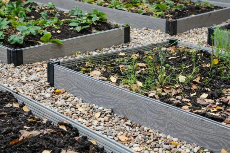 Плюсы и минусы грядок из террасной доски в частном доме